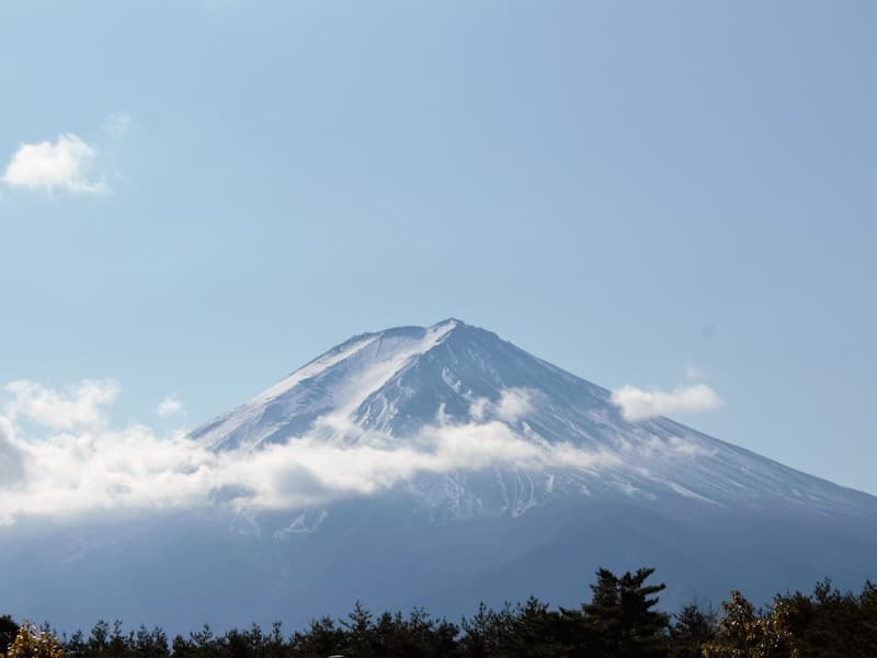 韓国の伝統的马車と駕籠：ソウルで出会う朝鮮の移動文化遺産
