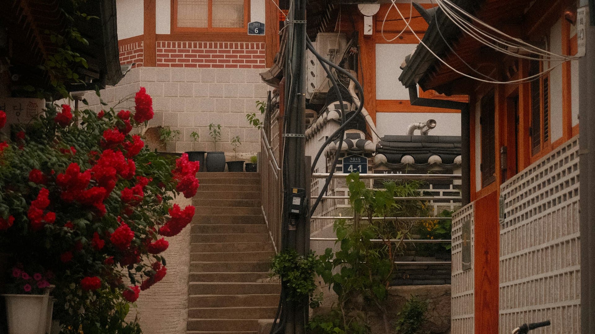 Korean Etiquette Guide: Culture, Manners & What Not to Do in Seoul 2025