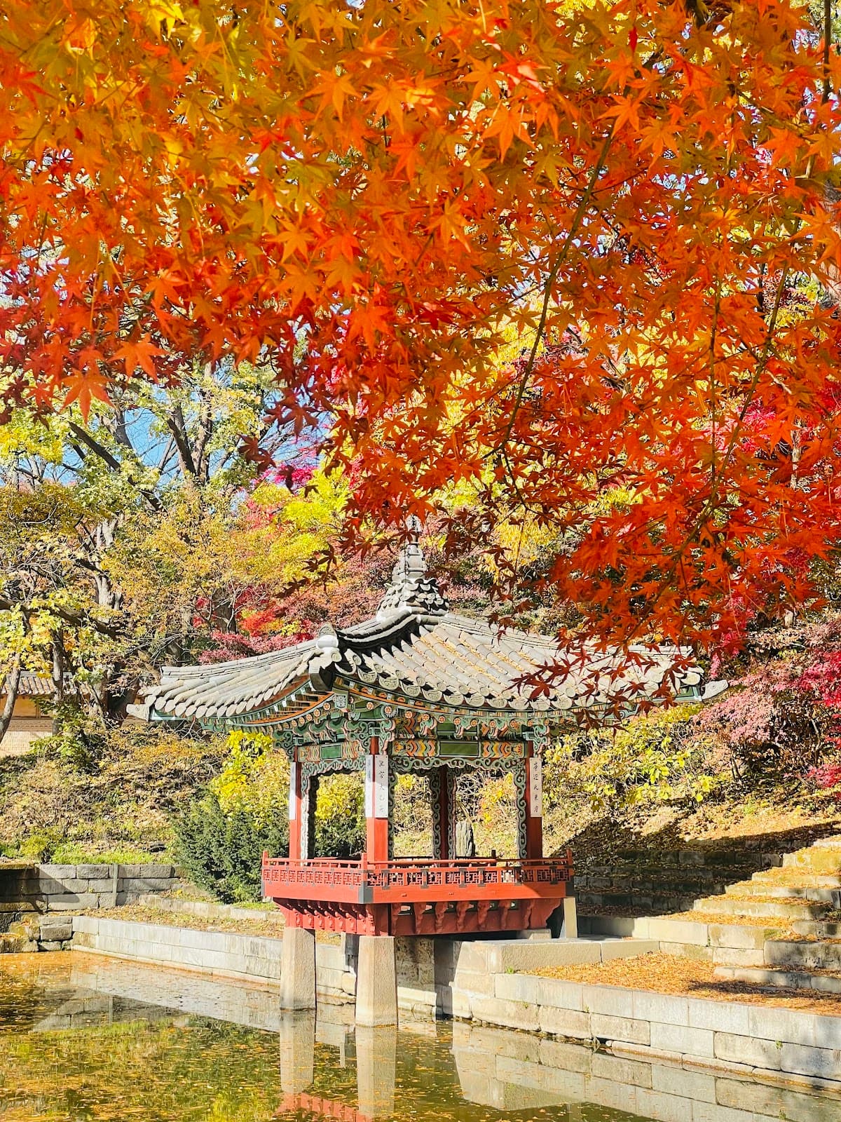 Changdeokgung Secret Garden 2