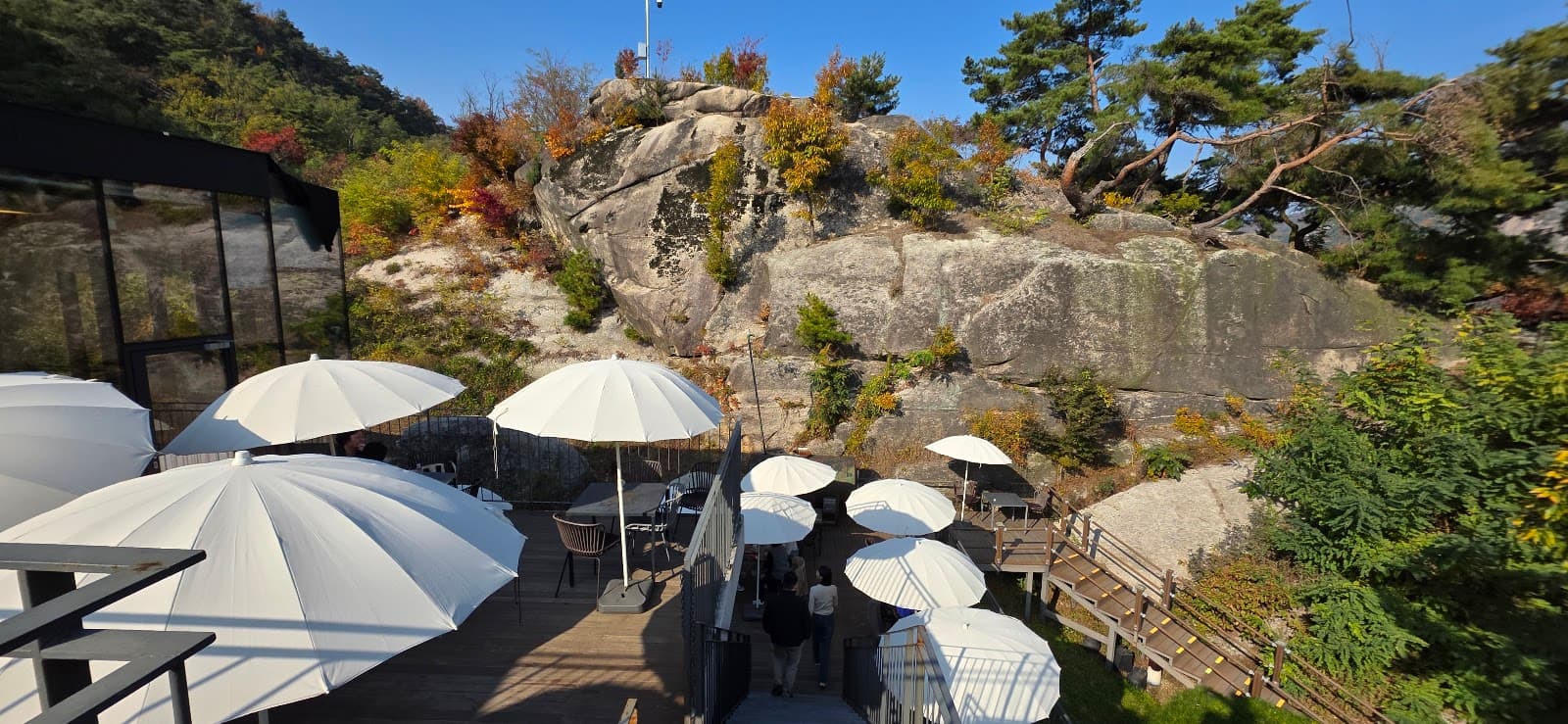 The Forest Choso Chaekbang 2