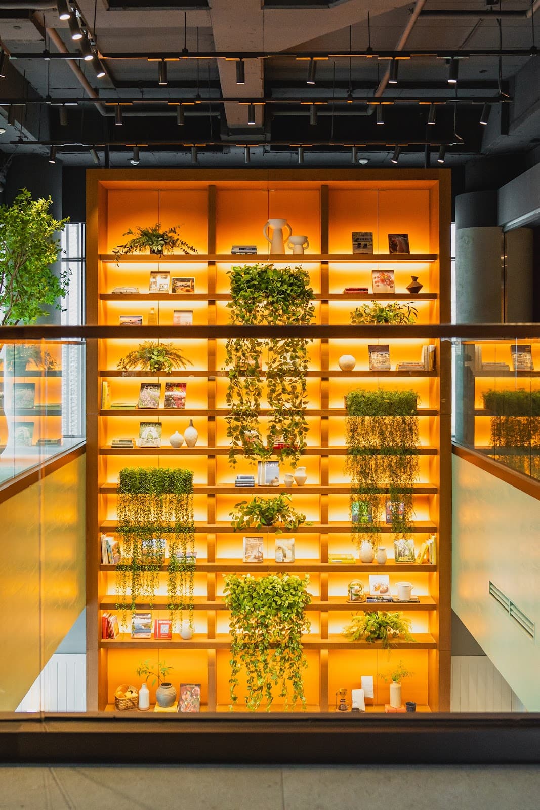 콜라쥬 — 아난티 강남의 미쉐린 스타 프렌치 레스토랑