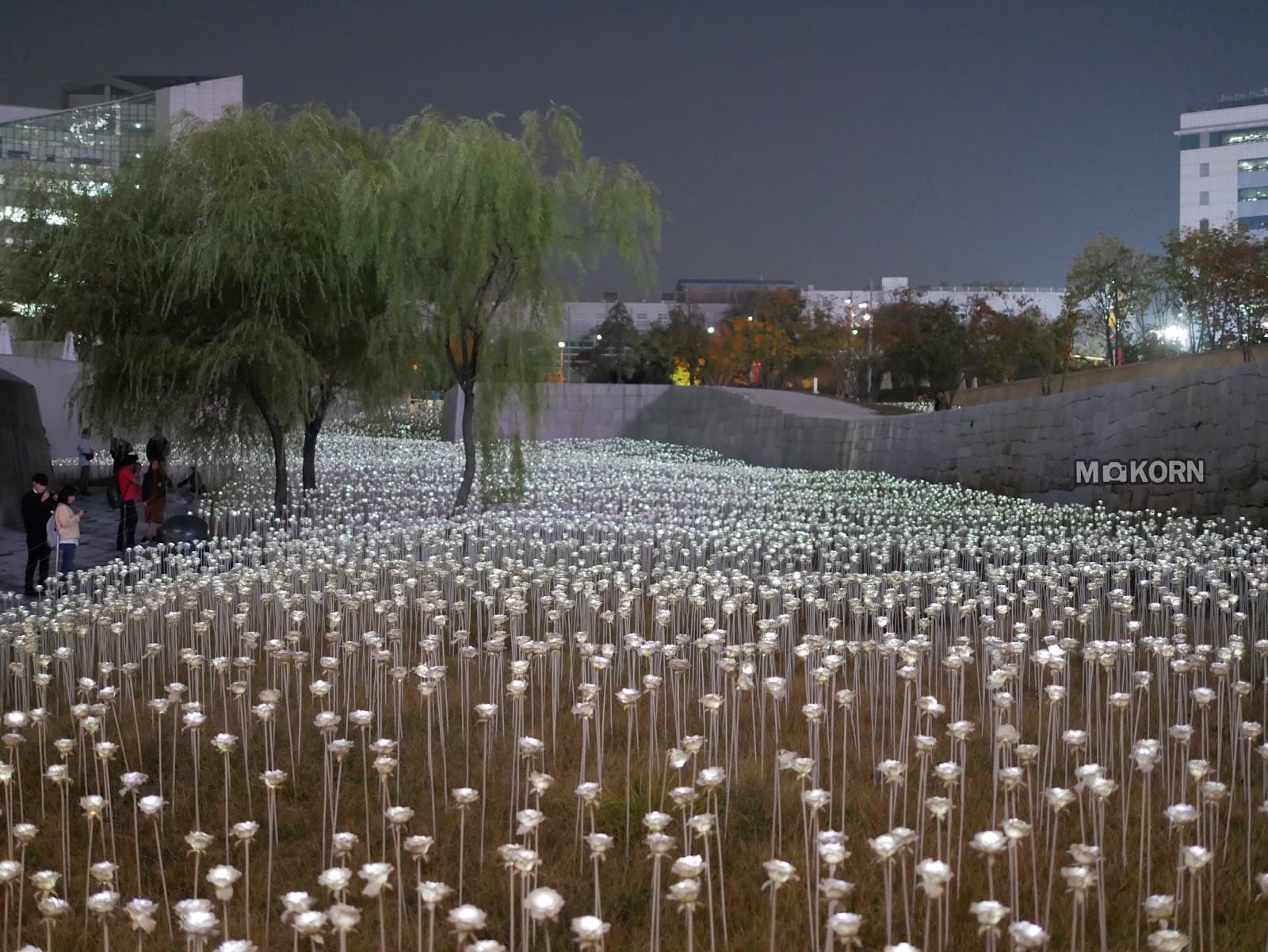 東大門デザインプラザ (DDP) 3