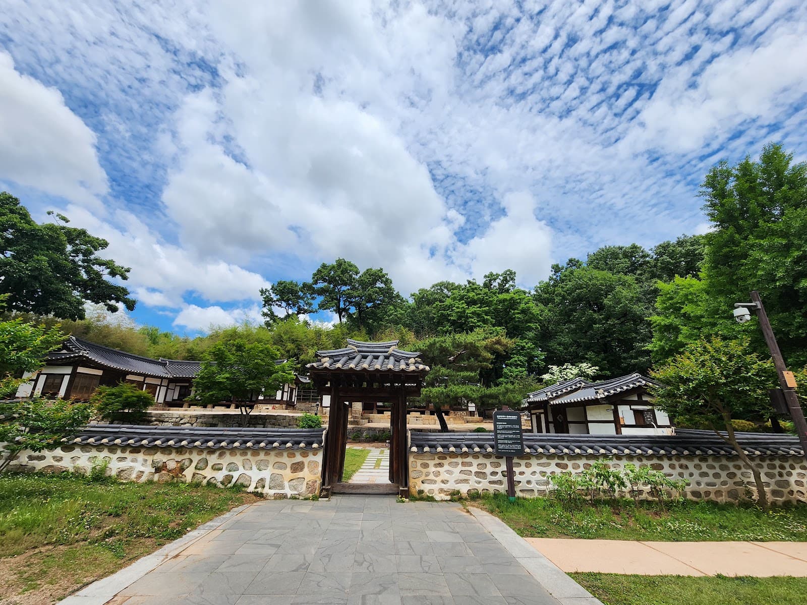 Bukseoul Dream Forest 5