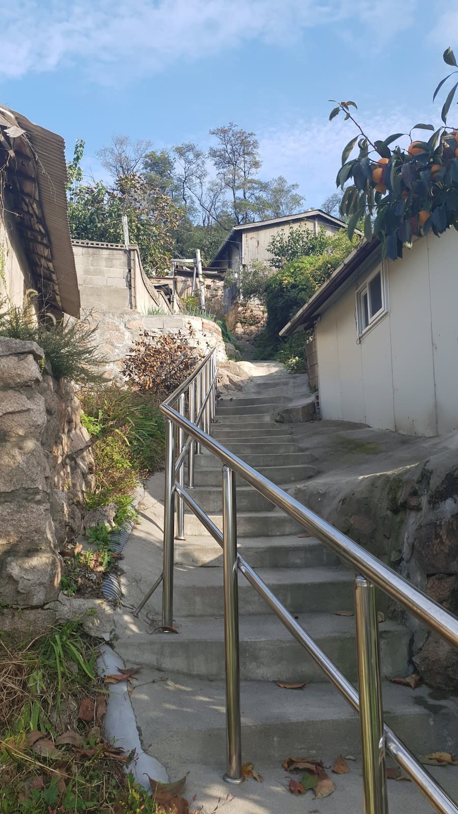 Gaemi Maeul (Ant Village) 3