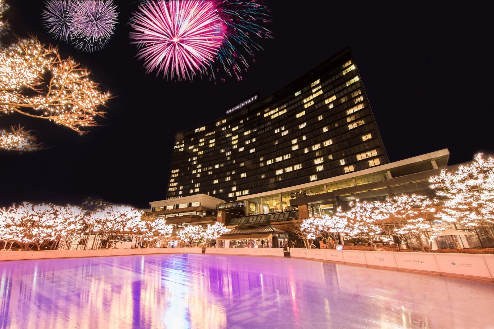 Grand Hyatt Seoul Ice Rink 3