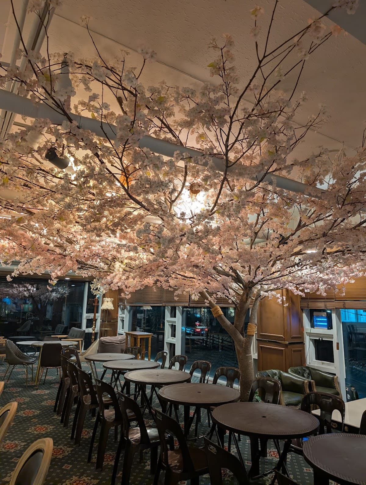 눕카페앤피자펍 2