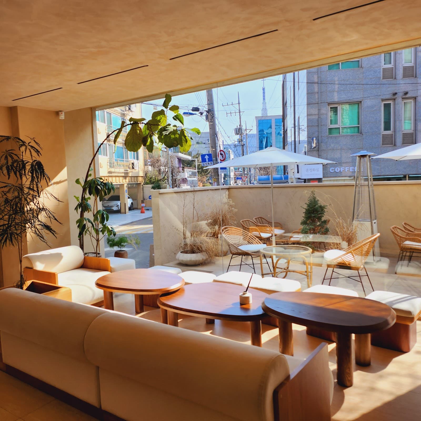 PITC (핏크/Pearl in the Clay)