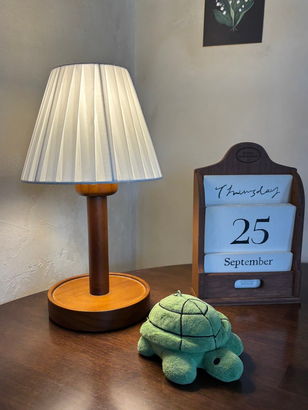 Tortoise Haebangchon 4