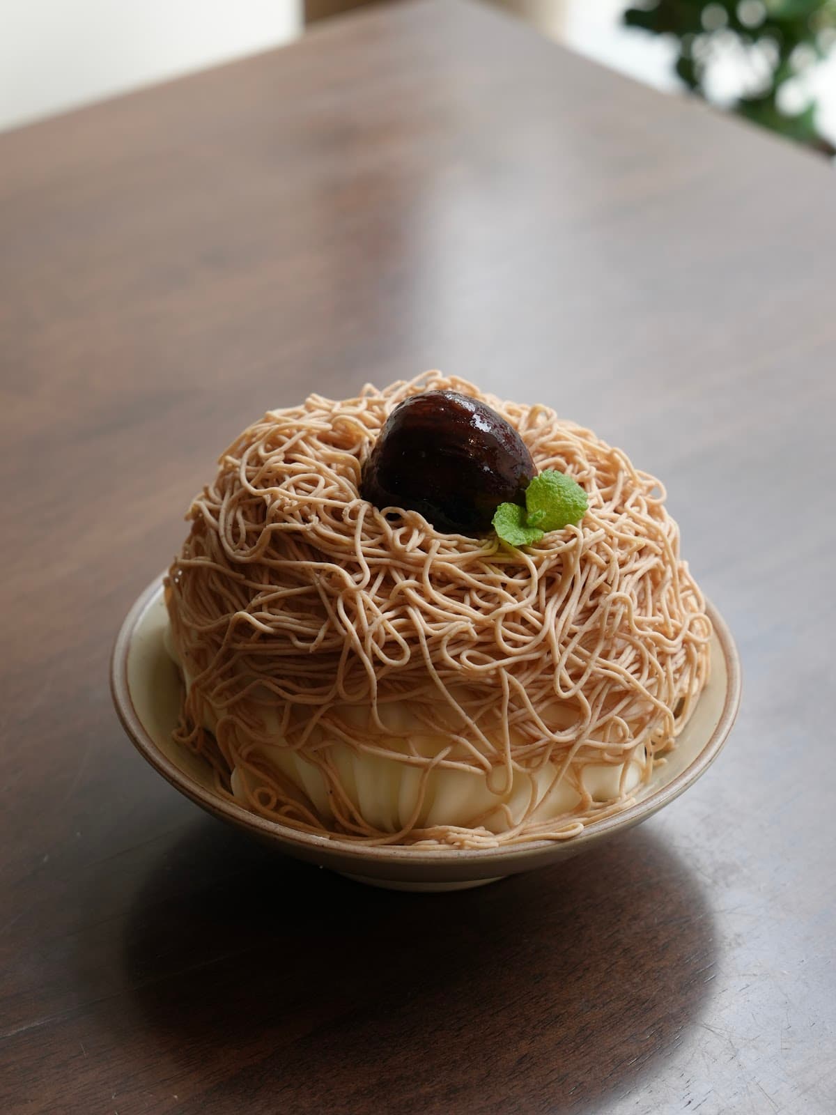 Tortoise Haebangchon 5