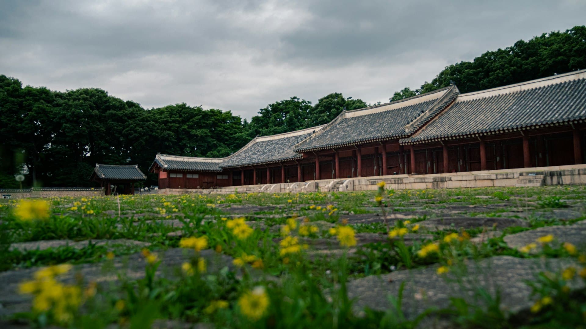 Jongmyo Shrine Guide 2025: Korea's Living 600-Year Royal Ritual & Triple UNESCO Heritage