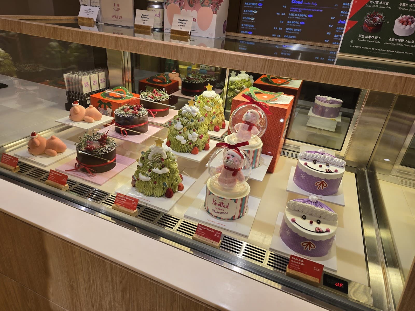 Cafe Knotted (Dosan) 4