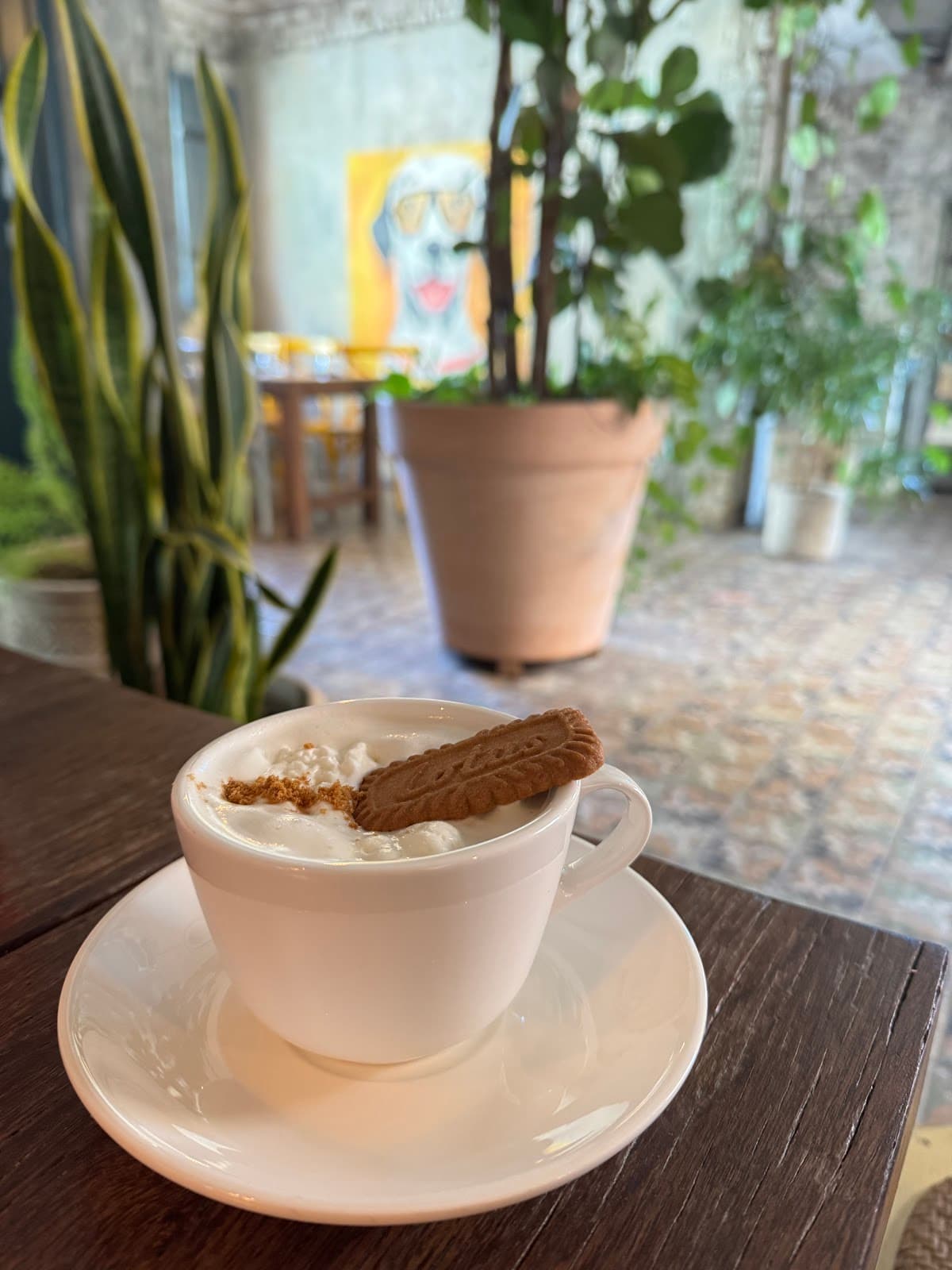 ダルマシアン 狎鴎亭 4