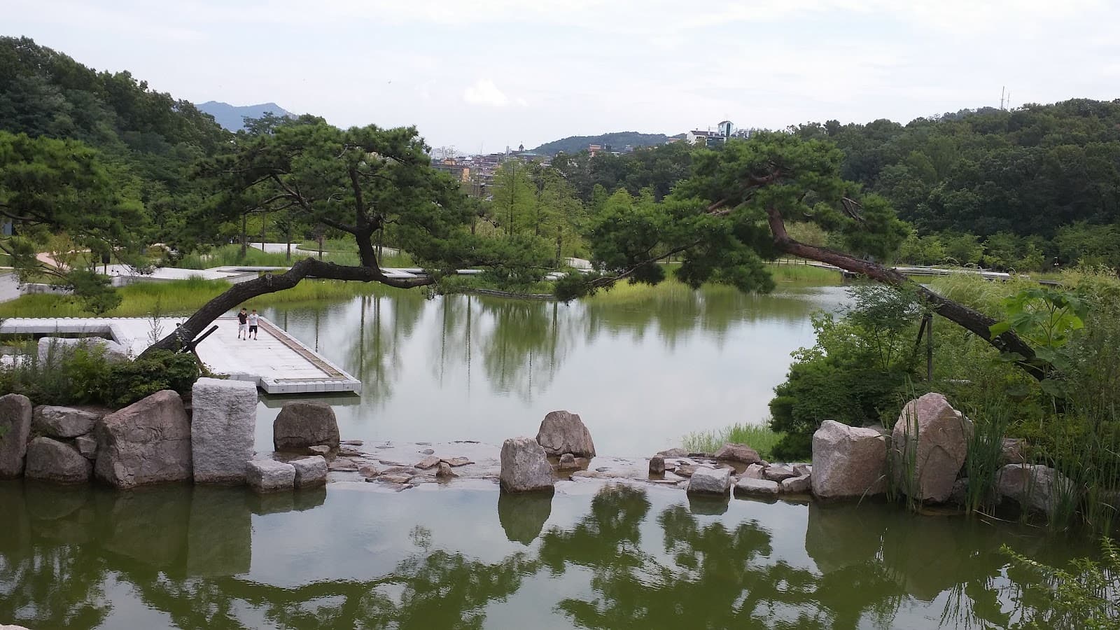 Bukseoul Dream Forest 3