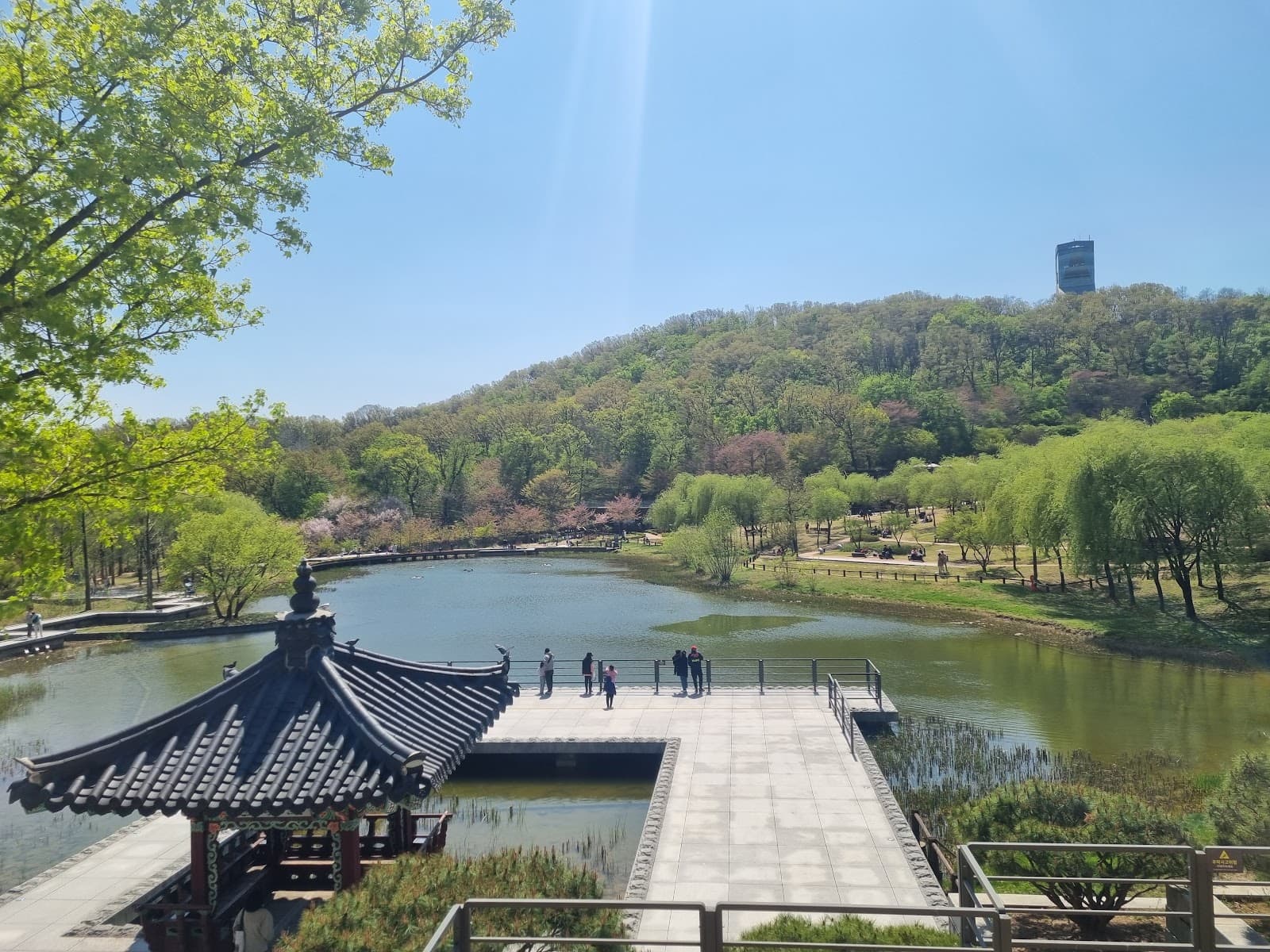 Bukseoul Dream Forest 4