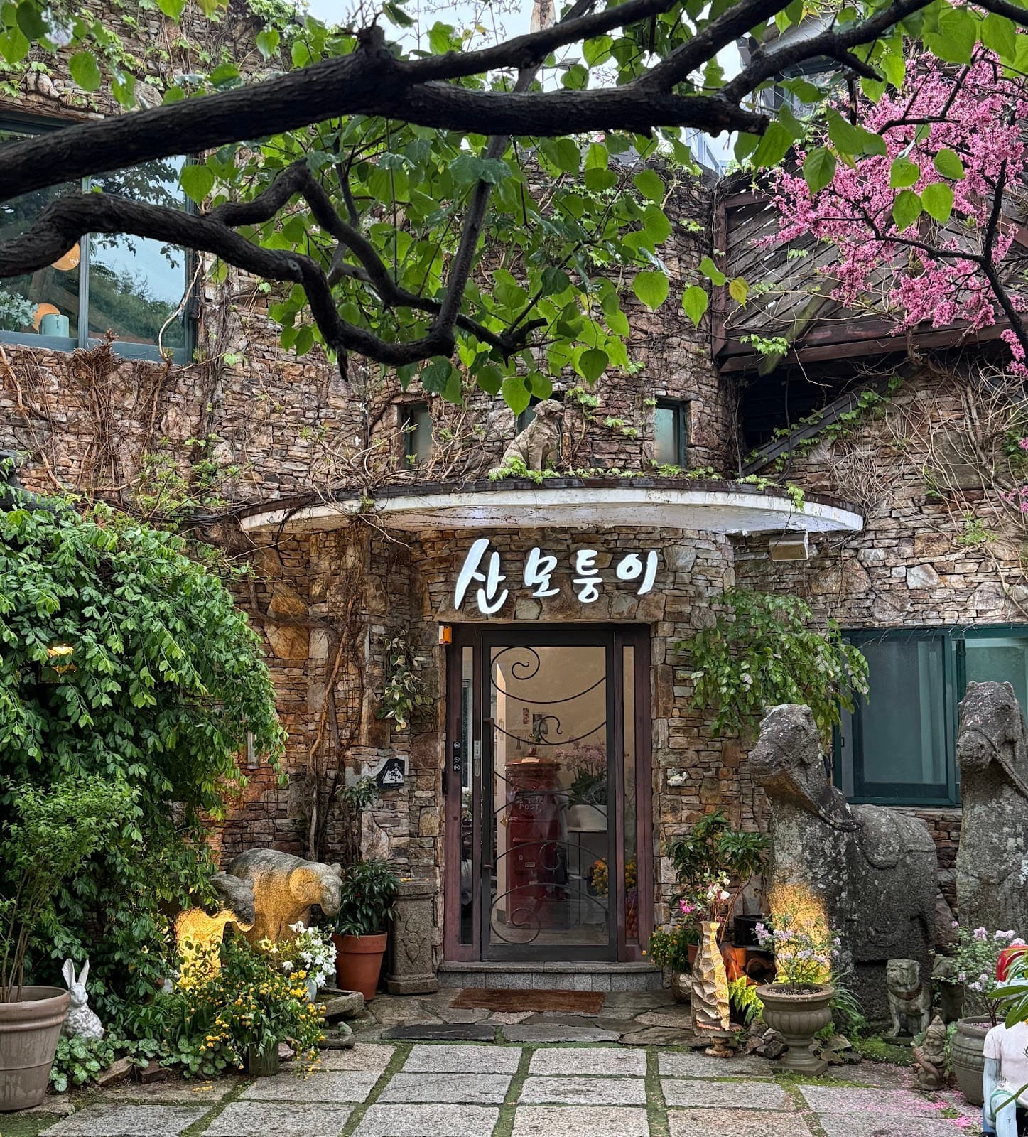 Sanmotoonge (Mountain Corner Cafe) 4