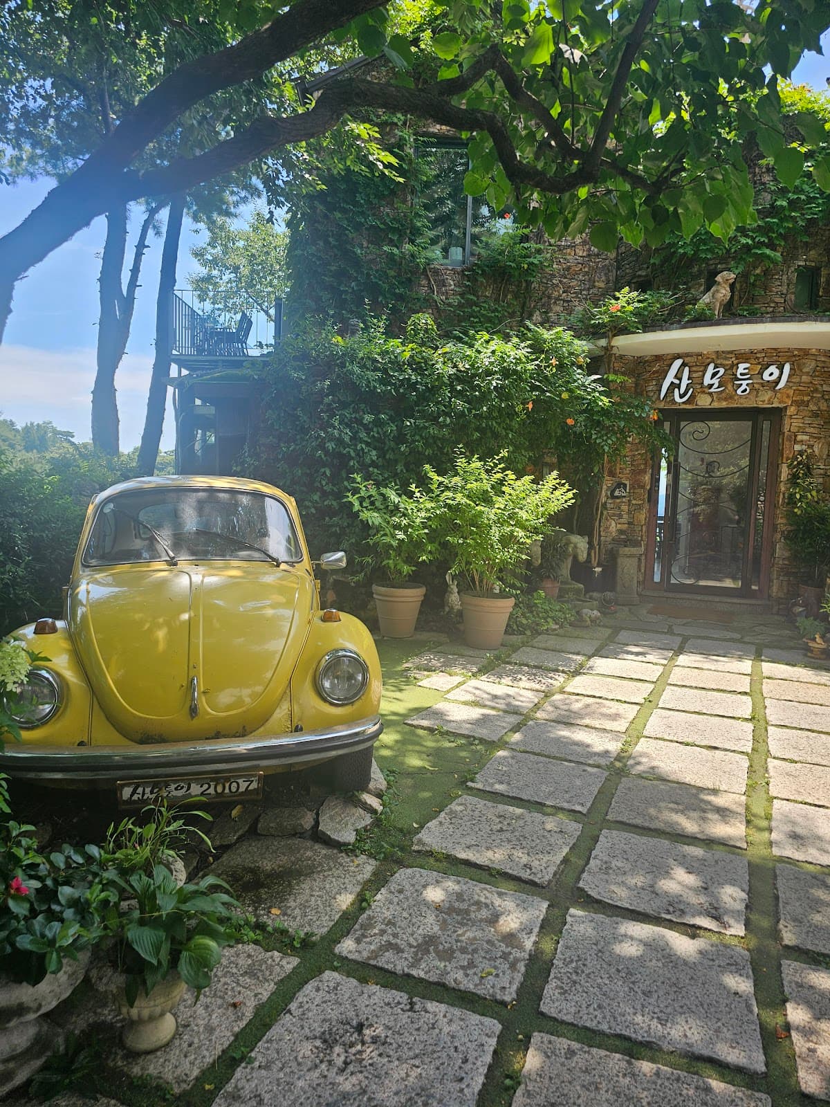 Sanmotoonge (Mountain Corner Cafe) 5