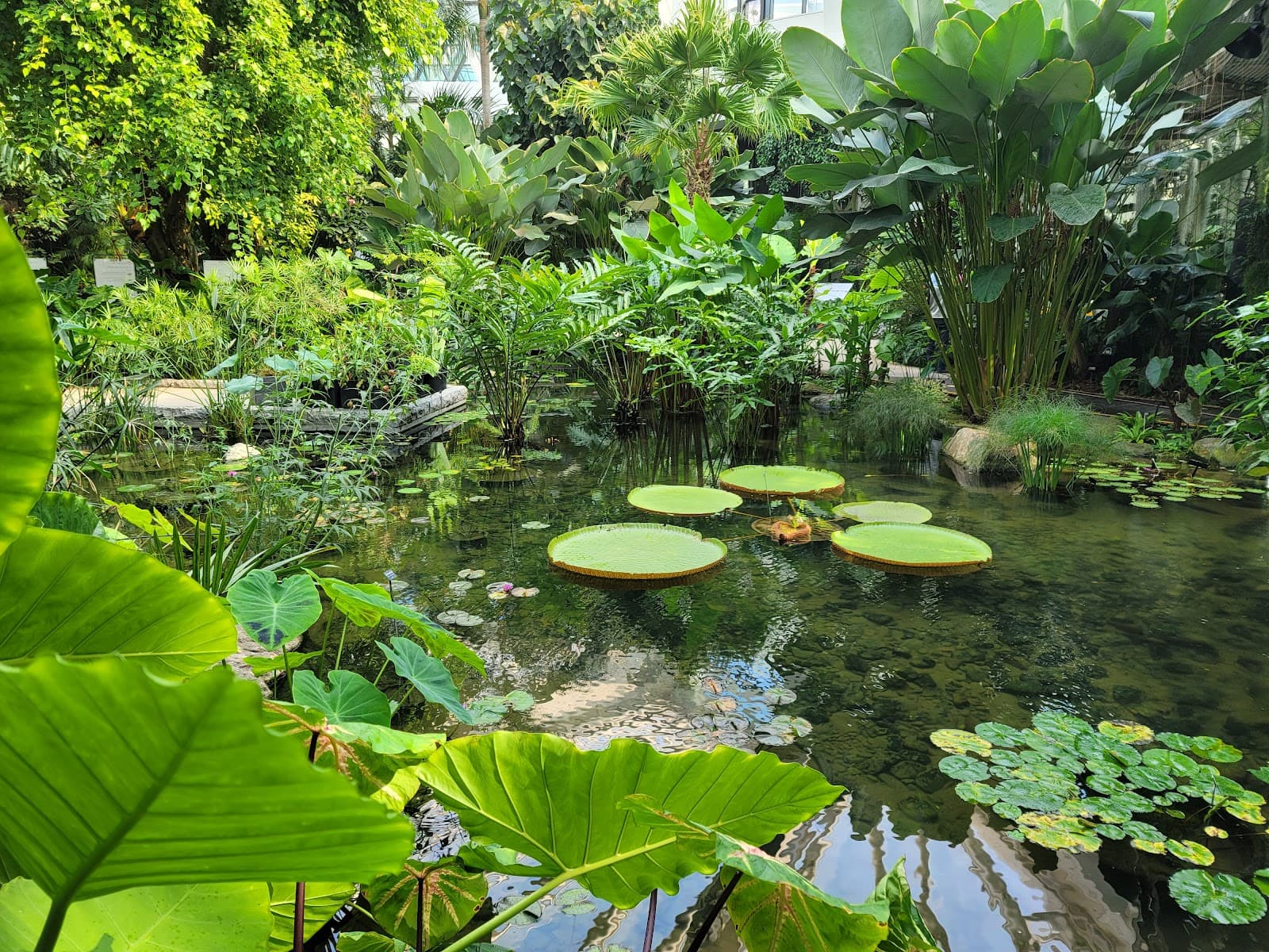 Seoul Botanic Park 4