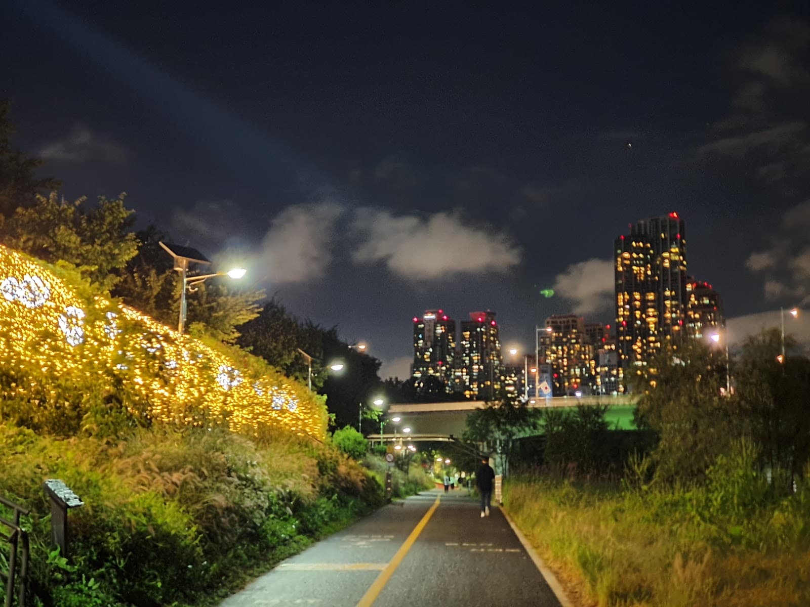 Yangjaecheon Riverside Culture Rest Area (양재천 수변문화쉼터) 3
