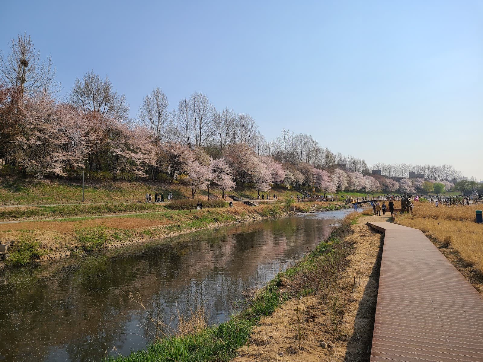 Yangjaecheon Riverside Culture Rest Area (양재천 수변문화쉼터) 5